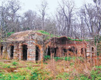 Tarihî At Ahırları 'Lale Müzesi' Oluyor