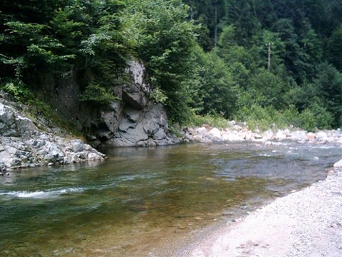 Hemşin de Kurtuldu