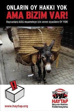 Hayvanları Yok Sayana, Oy Yok