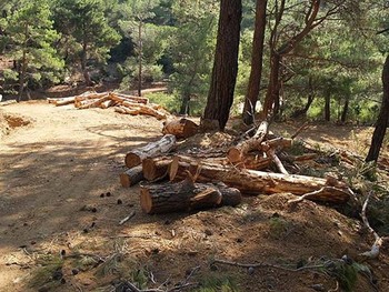 Ege'nin Madeni Özelleşiyor