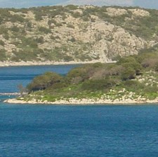 Tapu Ümit Ederken Mahkemelik Oldular