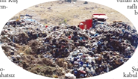 Çöp Ortada Kaldı