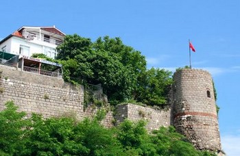Amasra Kalesi'nin Düşmanı Ağaçlar!