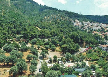 Teleferik Yamaçları Kurtuldu