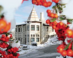 Çankaya Köşkü'nün Bahçesinde Tilki Var!