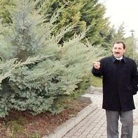 Etimesgut’ta Yeşil Atağı