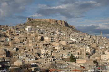 Mardin'de ‘Kalkınmada Engeller ve Çözümler’ Konferansı