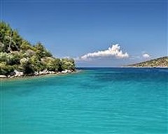 Villa Fiyatına Satılık Koy
