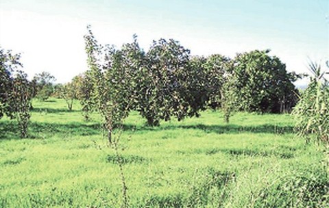 Fiyatı Altıya Katladı İptalden Kurtulamadı