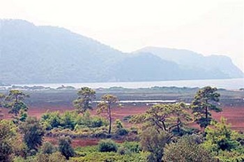 Dalaman Denizden Kazanacak