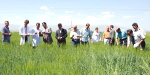 Erzurum Teknik Üniversitesi'nin Tarımsal Araziler Üzerine Kurulması İddiası