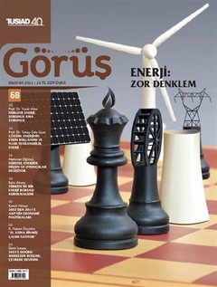 "Çıkan Sorunlar Nükleerin Salt Bir Enerji Açığı Sorununa İndirgenemeyeceğini Gösterdi"