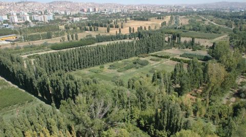 AOÇ’nin Millet Ormanına Dönüştürülmesine 2 Milyar TL Ayrıldı