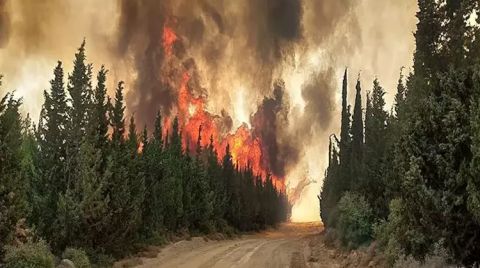 Geçen Yıldan Daha Fazla Alan Yandı: 30 Bin Hektar Kül Oldu