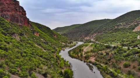 2250 Endemik Bitki Bulunan Bölgede Yapılacak RES’e ‘ÇED Olumlu’ Kararı