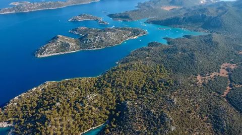 Limanağzı’nda Talanın ‘Yol’u Açılıyor