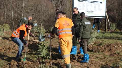 Bolu'daki Yangın Faciasında Ölen 78 Kişi için Hatıra Ormanı