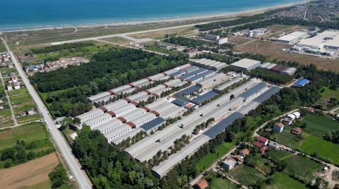 Tütün Hangarları Teknoloji Üssüne Dönüştü