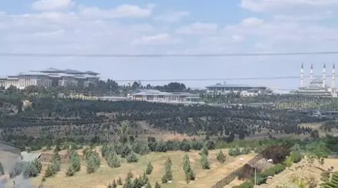 Sayıştay’dan Atatürk Orman Çiftliği ile İlgili Dikkat Çeken Tespitler