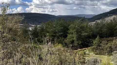 Köylünün Toprağına Cumhurbaşkanı Kararıyla El Konuldu