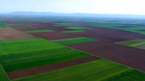Danıştay’dan Alpu Ovası'nda Termik Santral Kararı