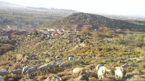 TOKİ, 1. Derece Sit Alanında Konut Yapacak