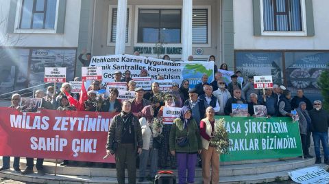 Milas Zeytinine Sahip Çıkıyor