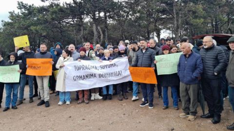 Ormanı Kiraya Verdiler