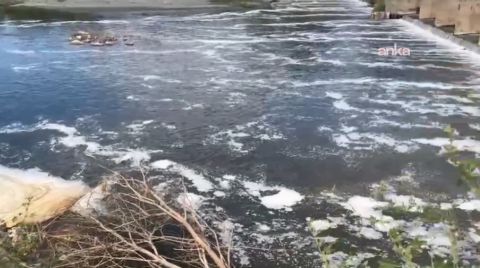 Çevre Örgütleri, Gediz Nehri'ndeki Kirliliğe Dikkat Çekecek