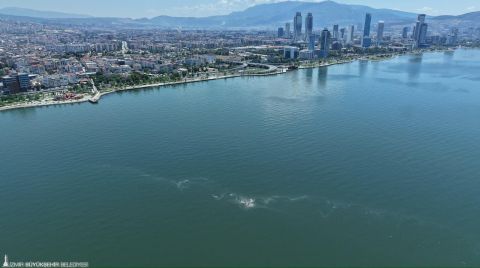İzmir Körfezi’nde 14’üncü Kez Kirlilik Tespit Edildi