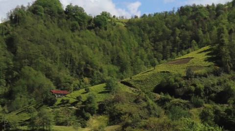 “Artvin'in Gerçek Yüzey Alanından Daha Fazla Maden Ruhsatı Var”