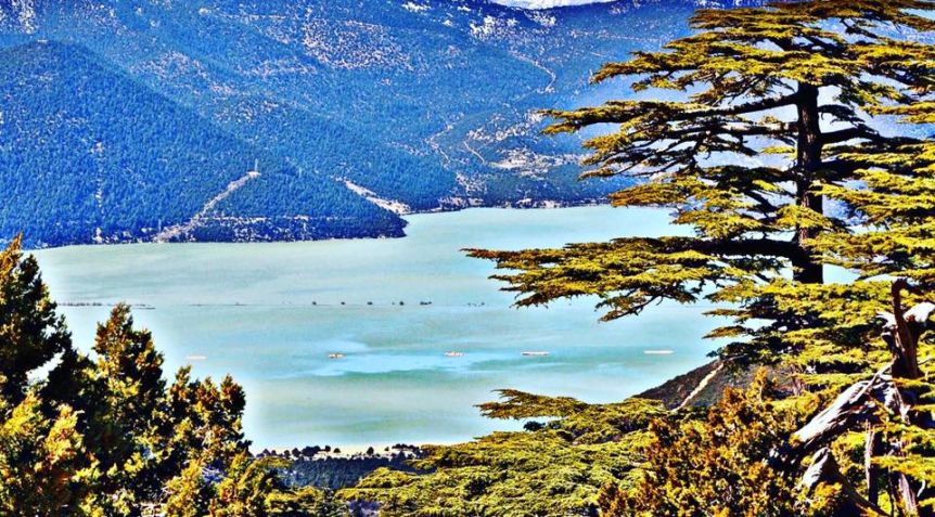 Antalya’da Bir Orman Parkı Daha İhaleye Açıldı