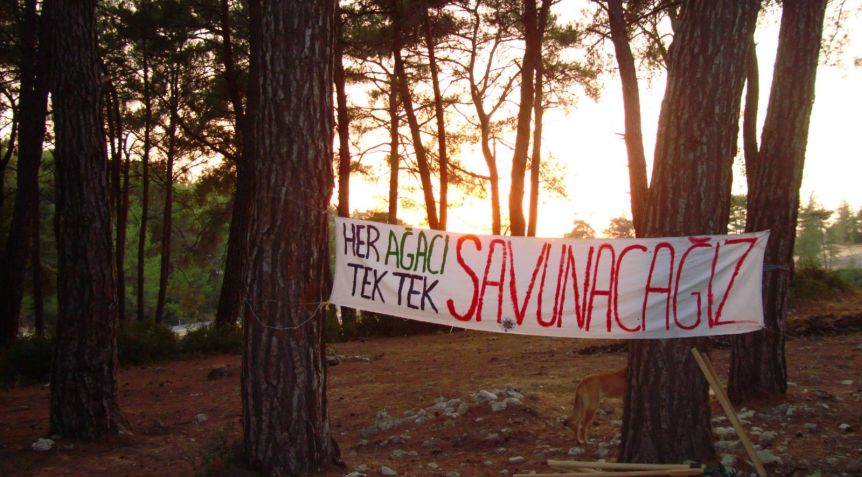 Kuzey Ormanları’ndaki Taş Ocağının Kapasite Artışına Onay Çıktı