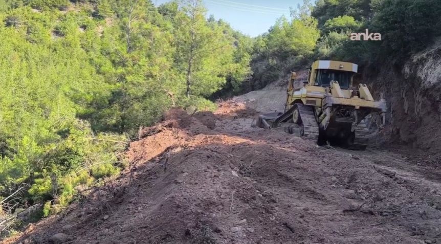 Osmaniye’de Mahkeme Kararına Rağmen Ağaçlar Kesiliyor